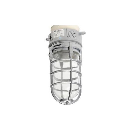 Lithonia Lighting Lithonia VC150I M12 150 W Incandescent Ceiling Mount Vapor Light VC150I M12